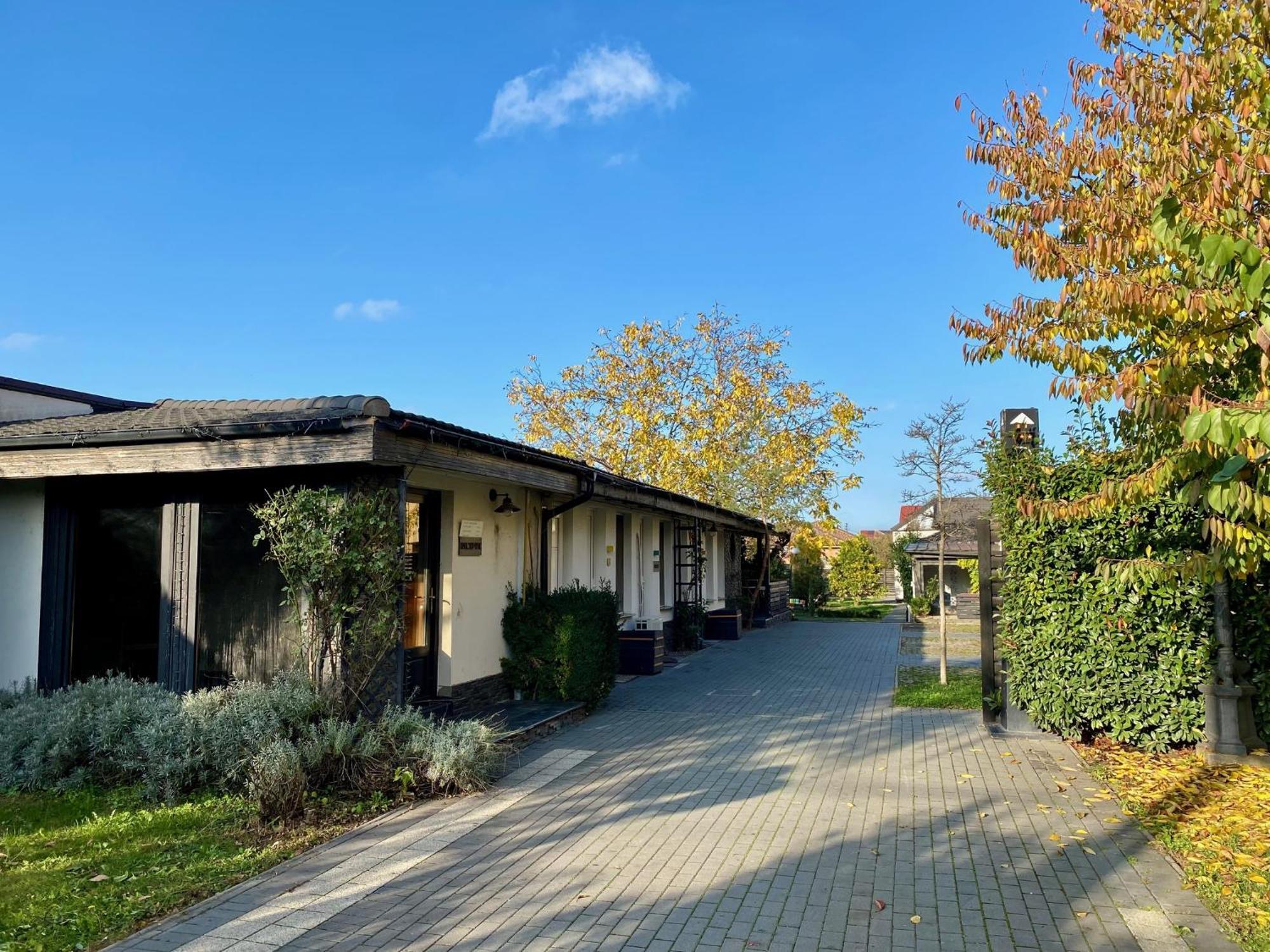 Pensiunea Damir Arad Exterior photo