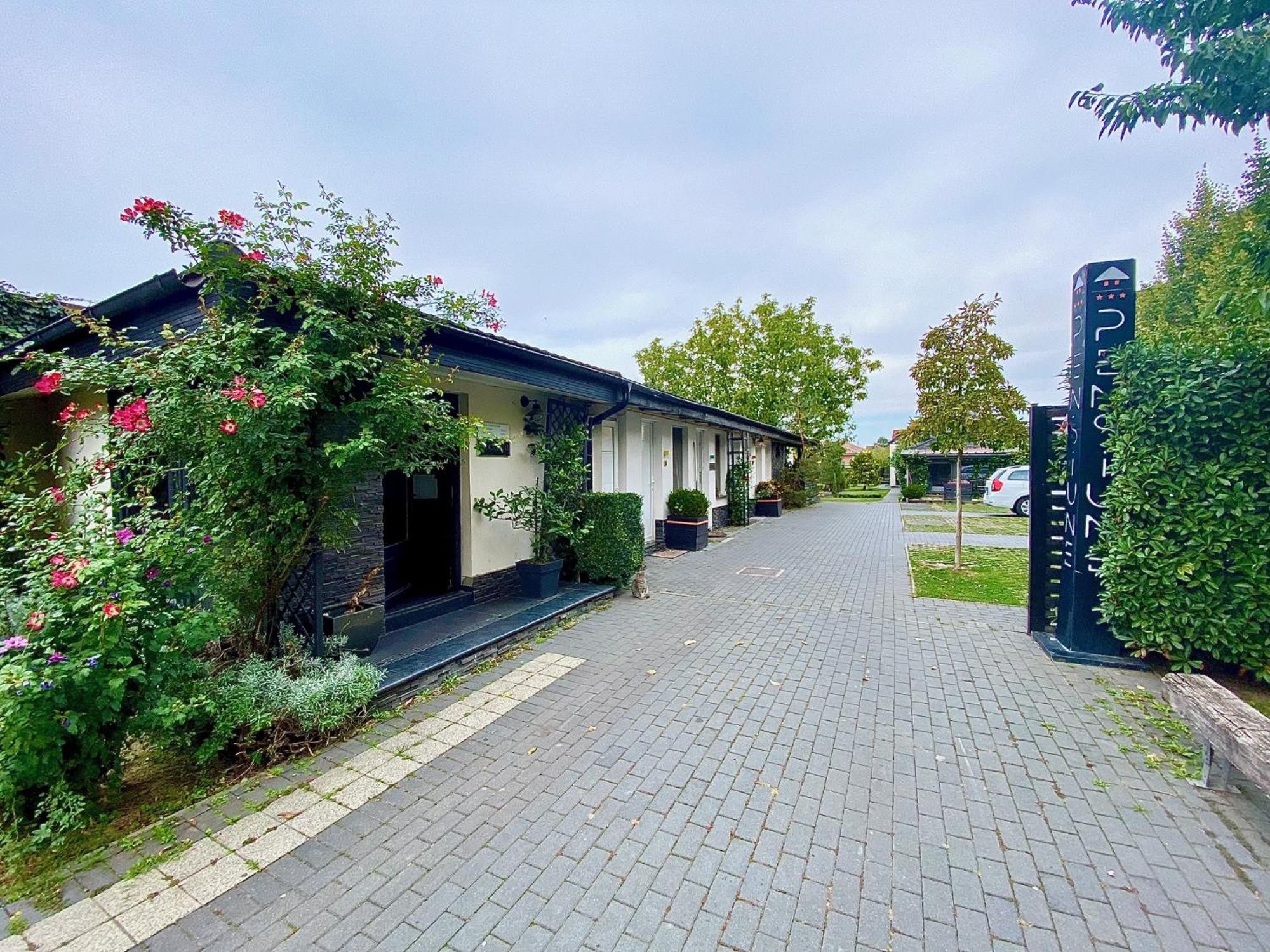 Pensiunea Damir Arad Exterior photo